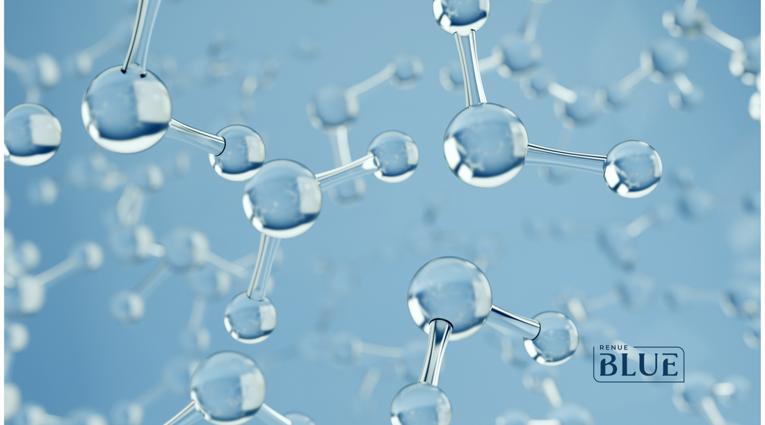 Nicotinamide Riboside vs. Niacinamide vs. NMN: A Comprehensive Comparison for Longevity