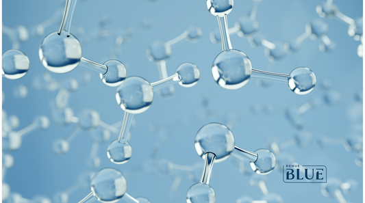 Nicotinamide Riboside vs. Niacinamide vs. NMN: A Comprehensive Comparison for Longevity