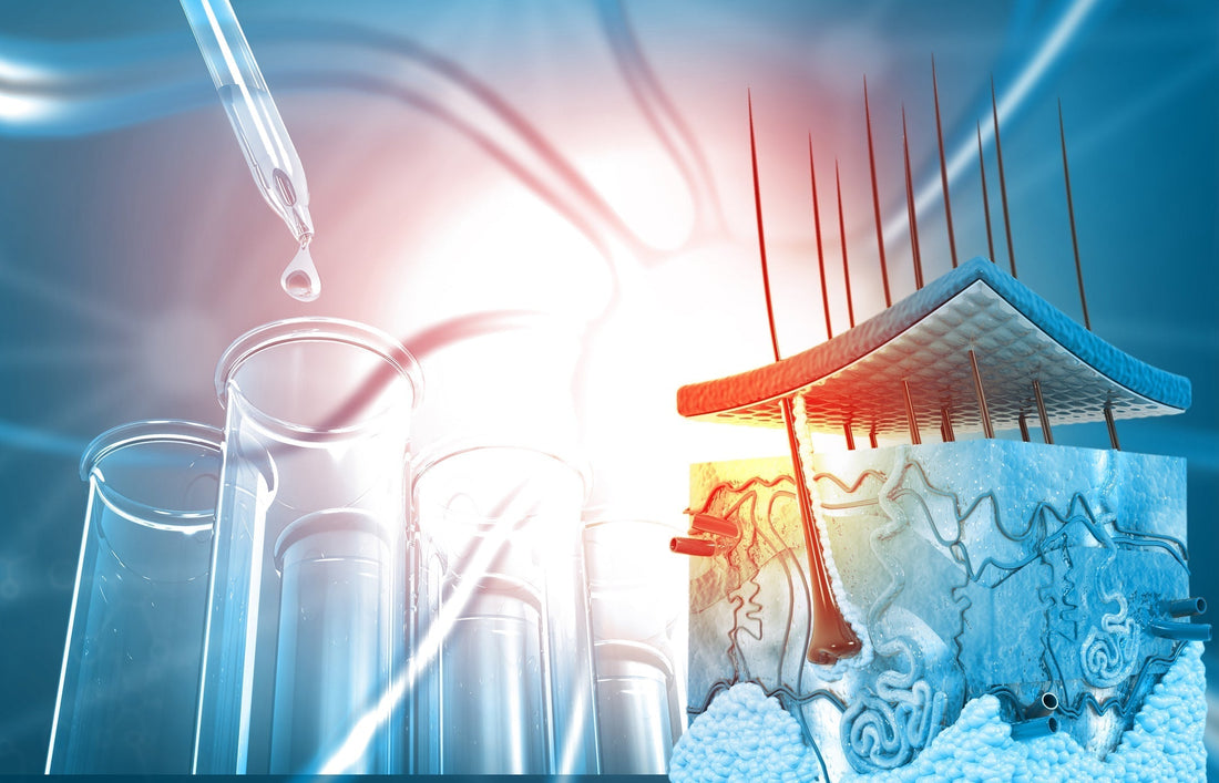 The New Paradigm in Skincare: Focusing on Skin Longevity at the Cellular Level