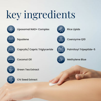 List of key ingredients with a hand applying cream on skin against a light background